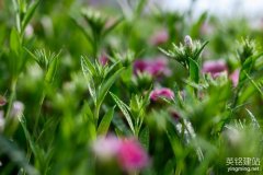 望城公司網站制作